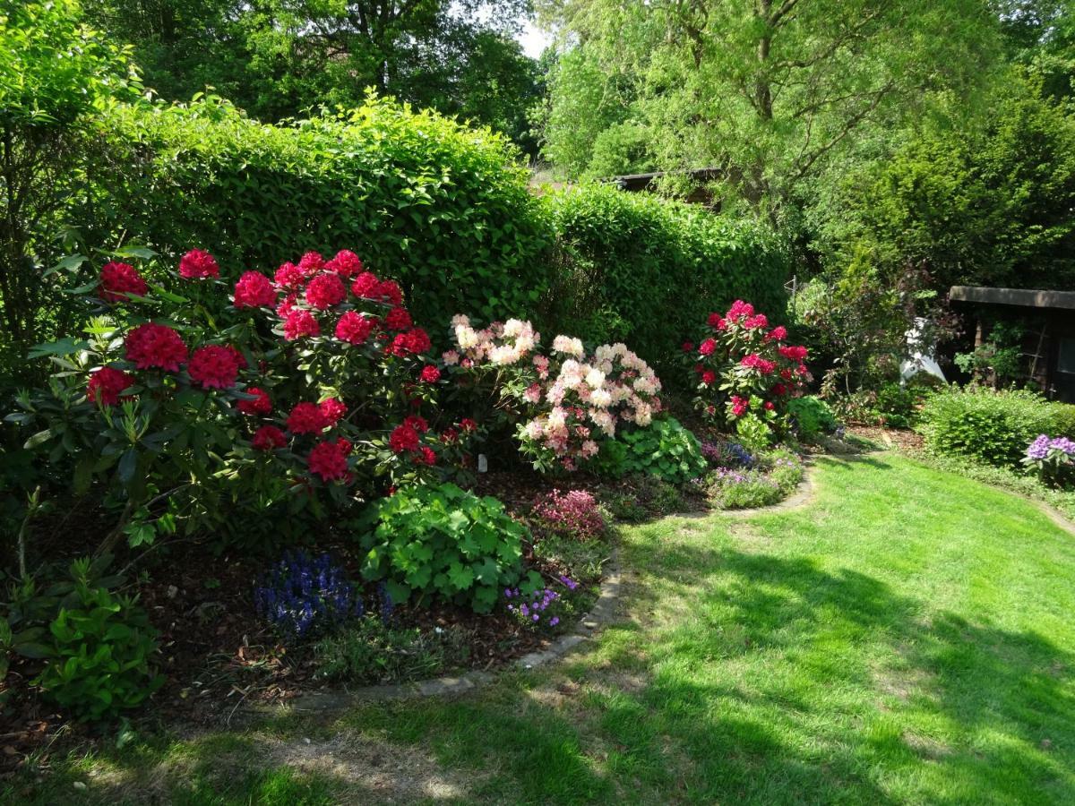 Ferienwohnung Spier Ottenstein ภายนอก รูปภาพ